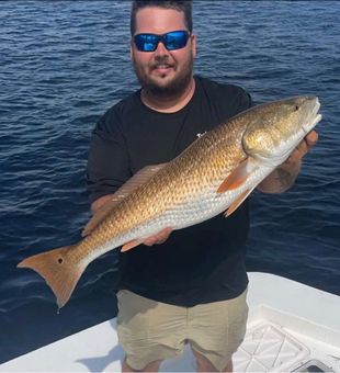 Panama City's Finest Red Drum Moments!